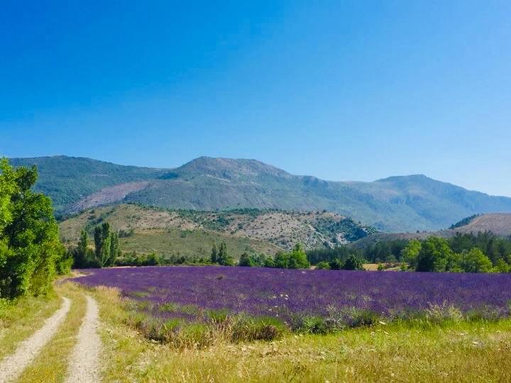 Le Moulin De La Viorne, Gite Avec Piscine Au Coeur De La Nature En Haute-Provence Les Omergues Exteriér fotografie
