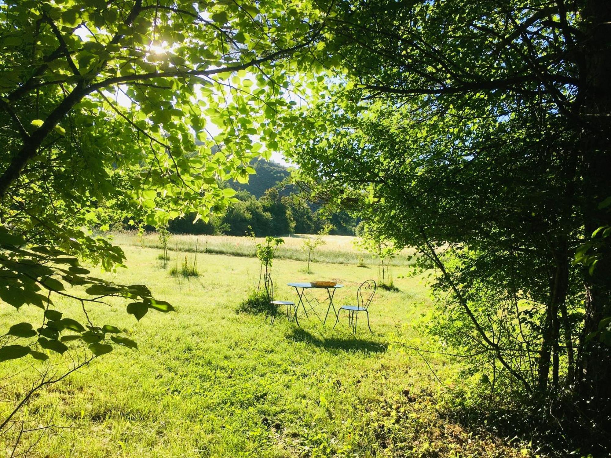 Le Moulin De La Viorne, Gite Avec Piscine Au Coeur De La Nature En Haute-Provence Les Omergues Exteriér fotografie