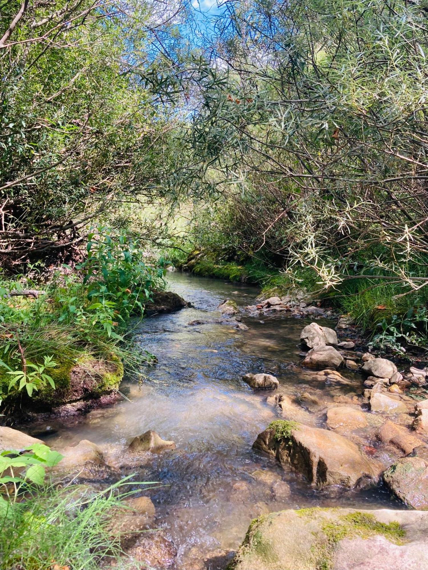 Le Moulin De La Viorne, Gite Avec Piscine Au Coeur De La Nature En Haute-Provence Les Omergues Exteriér fotografie